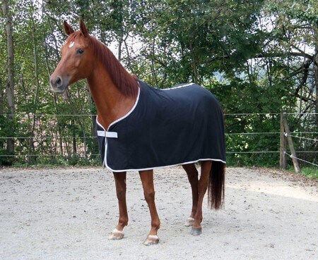 Covalliero Κουβέρτα Rugbe Fleece Economic 125 Cm Kerbl