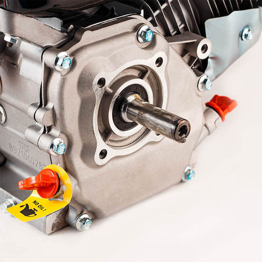 Bormann BGB2200 Gasoline Engine 4 Stroke 212cc 7.5hp Maximum Revolutions 3600rpm with Keyway (Tank 4lt)