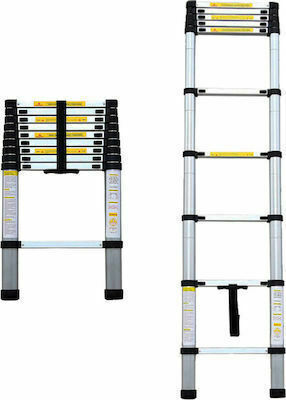 Bormann Telescopic Ladder Aluminum 10 of Steps with Maximum Height 3.2m BHL7010 022770