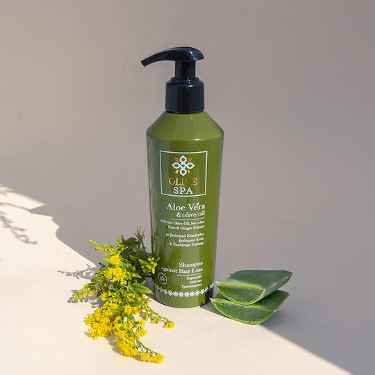 OliveSpa Aloe Vera & Olive Oil Shampoos gegen Haarausfall für Alle Haartypen 250ml