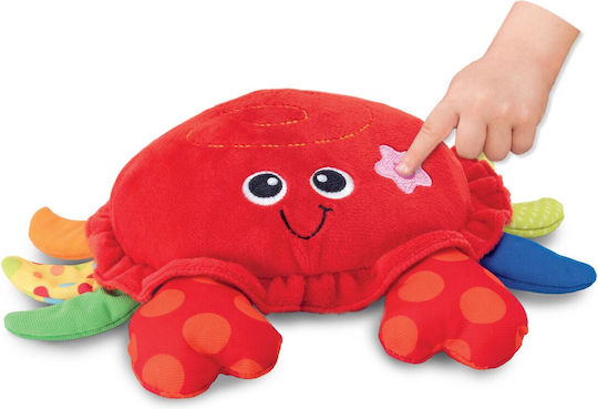 Winfun Baby Toy made of Fabric with Music and Sounds for 3++ Months