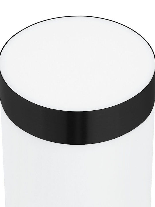 vidaXL Επιτοίχιο Εξωτερικό Φωτιστικό LED IP44 8.5x12x29εκ.
