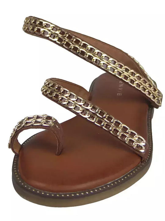 Women's Flat Sandals in Brown Color