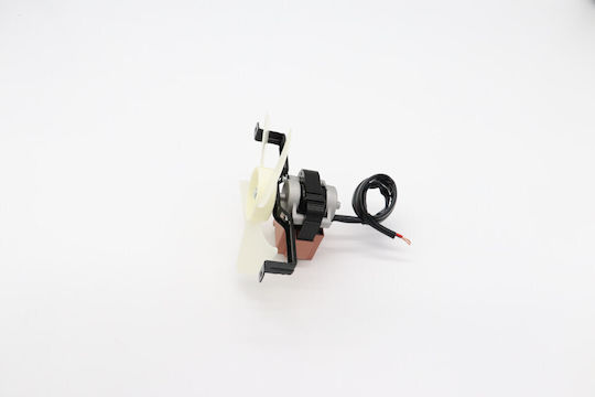 Maxima Motor