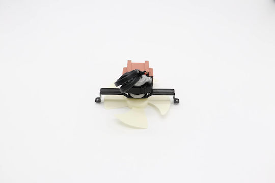 Maxima Motor