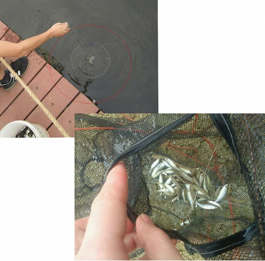 Κιούρτος Ψαρέματος