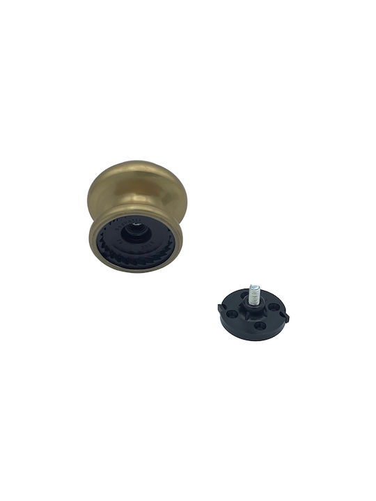 Saguatti Μπουλ Εξώπορτας Polished Bronze