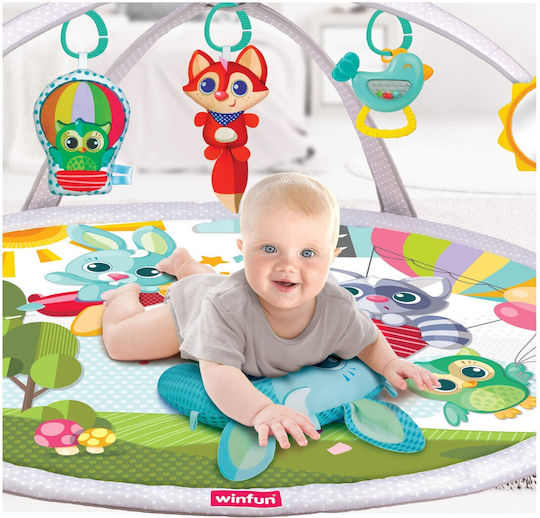 Winfun Baby Activity Gym for Newborns