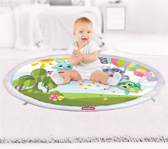 Winfun Baby Activity Gym for Newborns