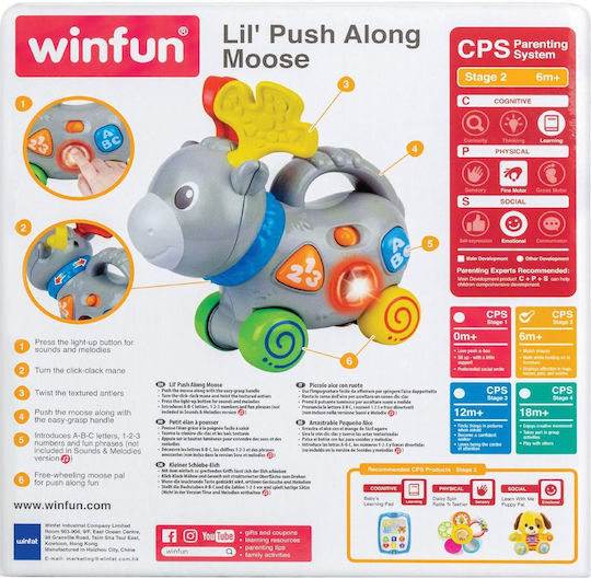 Winfun Jucărie pentru Bebeluși cu Sunete