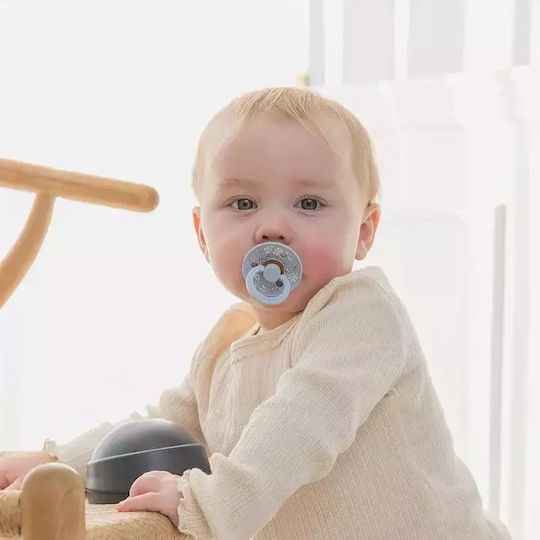 Bibs X Liberty Pacifiers Rubber Chamomile Lawn/Baby Blue for 6+ months 2pcs