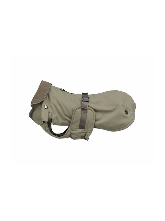 Orange Dog Coat with 43cm Back Length