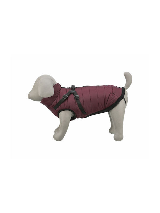 Red Dog Coat with 40cm Back Length