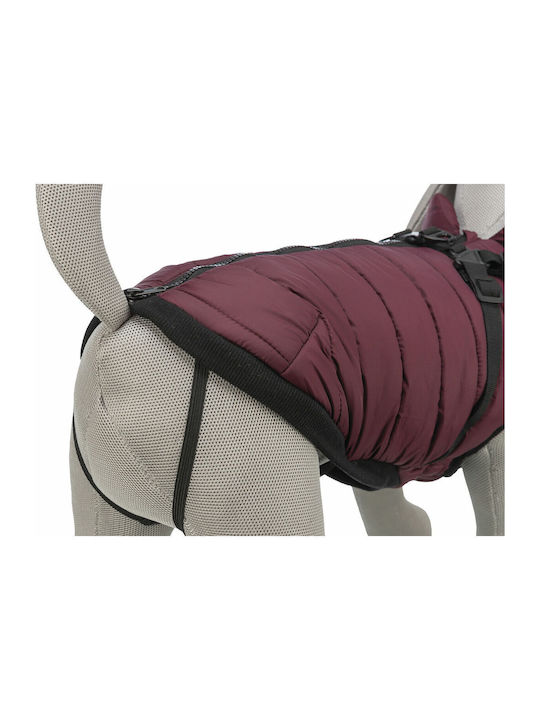 Red Dog Coat with 40cm Back Length