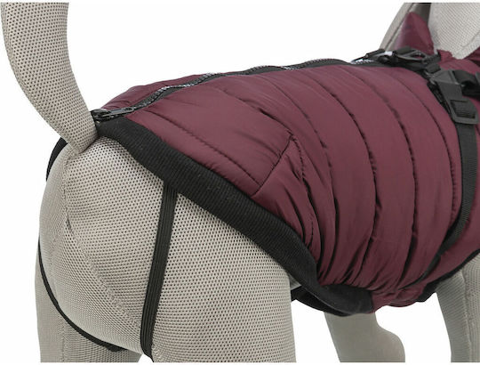 Red Dog Coat with 40cm Back Length