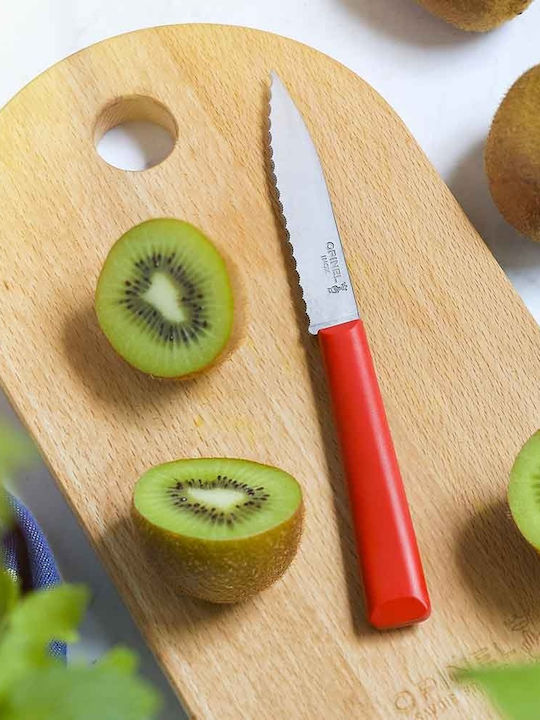 Opinel Knife General Use from Stainless Steel 10.16cm