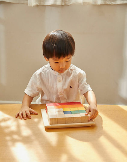 Plan Toys Κύβοι Για Μέτρημα Educational Game Knowledge made of Wood for 3+ years Years Old