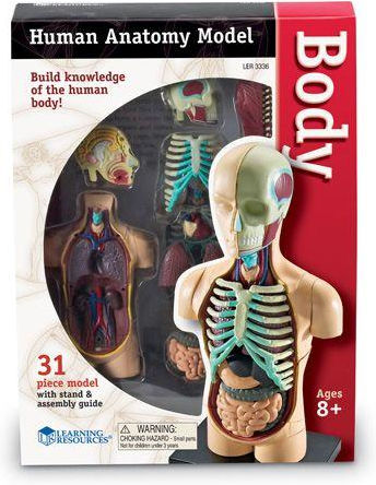 Learning Resources Human Body Εκπαιδευτικό Παιχνίδι Γνώσεων για 8-12 Ετών