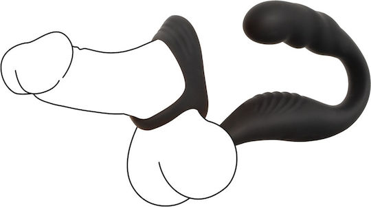 Cock Ring Prostate Plug