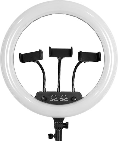 GloboStar RGB Ring Light 36cm 3000 - 6000K με Βάση για Κινητό