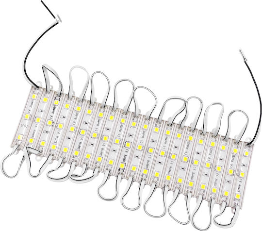 GloboStar LED Modul 12V 0.8W Alb rece 20buc 73701