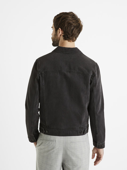 Celio Celio