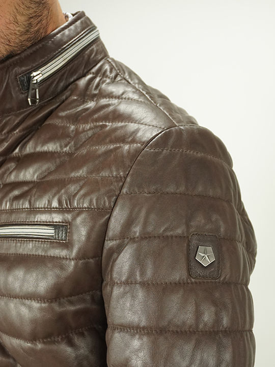 Winter Jacke Puffer Brown