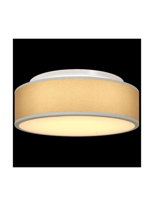 vidaXL Lighting fixtures Ceiling Mount Light 38cm Gray with Socket E27