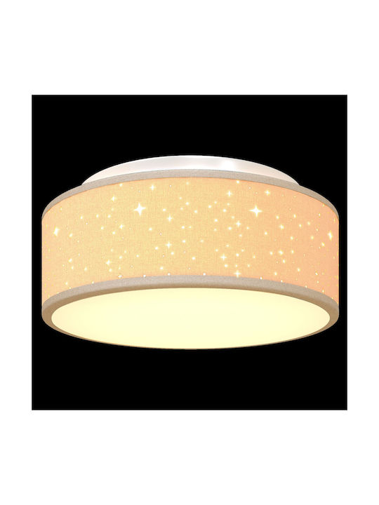 vidaXL Ceiling Mount Light 30cm Brown with Socket E27