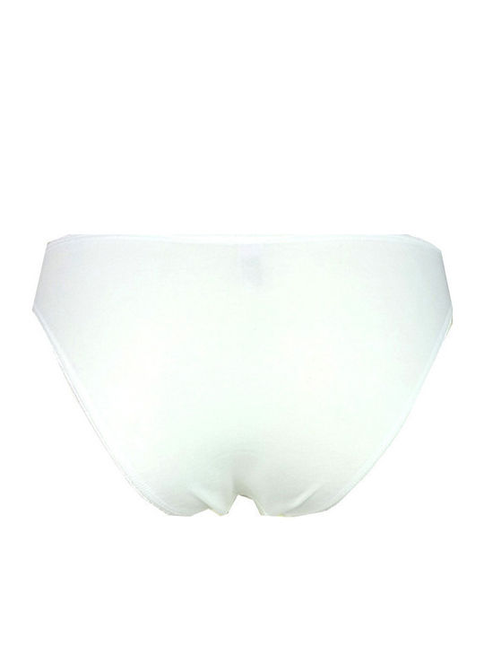 Fay Lingerie