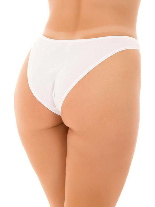 Fay Lingerie