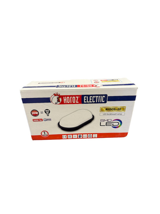Horoz Electric Lumină de exterior montată pe perete LED IP65 cu Alb Rece Lumină