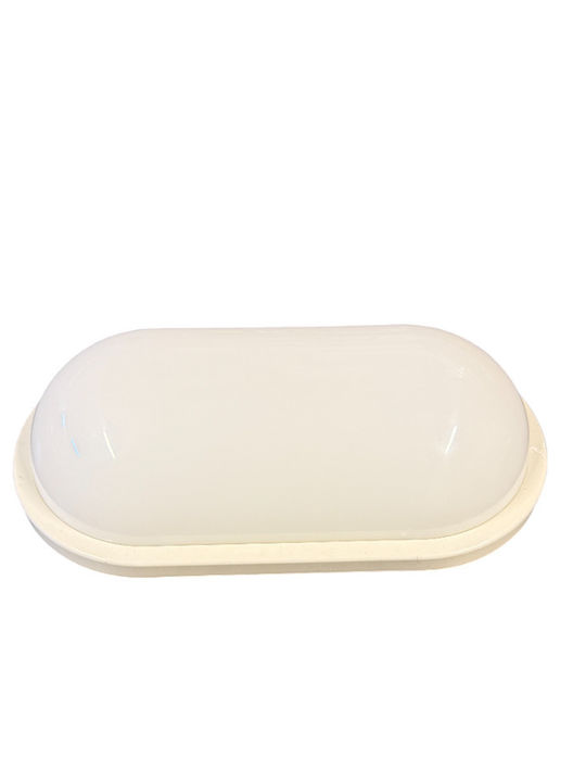 Horoz Electric Lumină de exterior montată pe perete LED IP65 cu Alb Rece Lumină