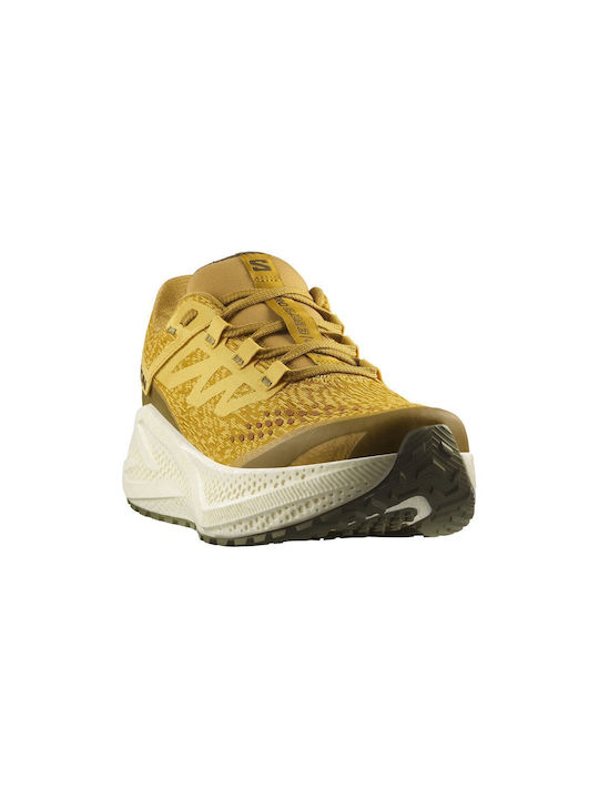 Aero Glide 3 Grvl Sport Shoes Running Spicy Mustard / Vanilla Ice / Deep Lich