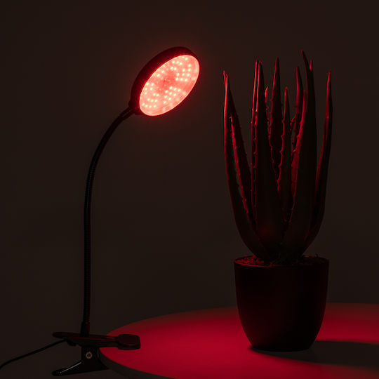 GloboStar Desk Grow Light with LED and Power 5W L10xW20xH36cm.