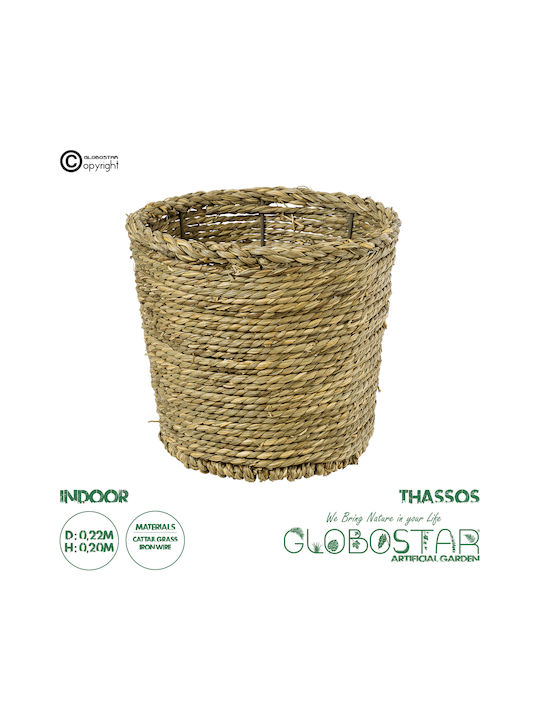 GloboStar THASSOS Übertopf Korbweide Beige 20x20x22εκ.