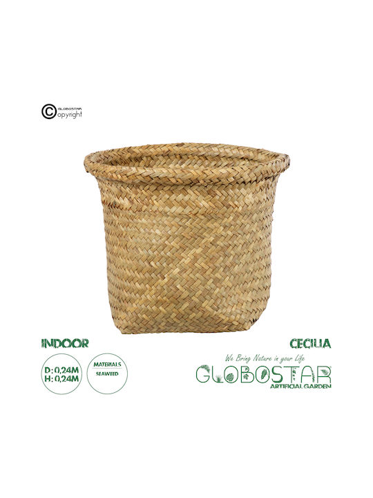 GloboStar Cecilia Übertopf Korbweide Beige mit Gestell 24x24x24εκ.