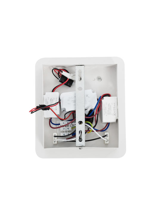 GloboStar Ibis Modern Leuchte Wand mit Integrierter LED und Neutralweißes Licht 10x18cm
