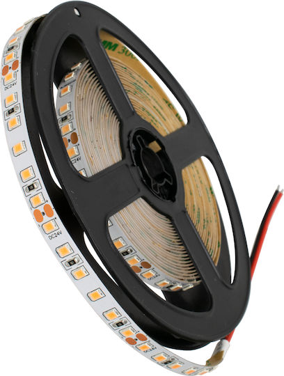 GloboStar Ταινία LED 24V Ροζ Φως 5m Τύπου SMD2835