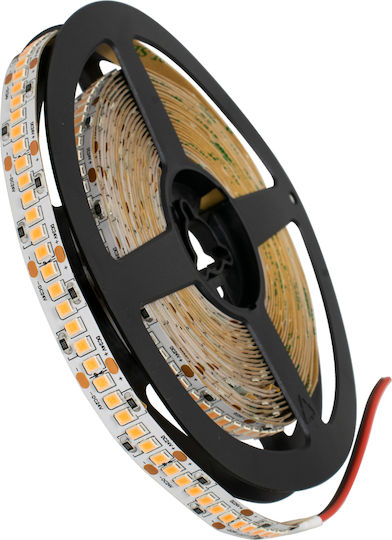 GloboStar Ταινία LED 24V Ροζ Φως 5m Τύπου SMD2835