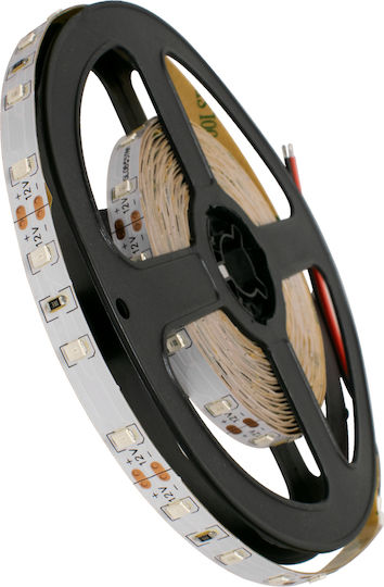 GloboStar LED Лента 12V Зелено Светлина 5м Тип SMD2835