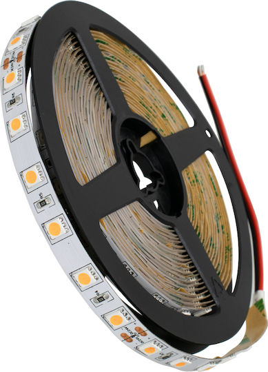 GloboStar Ταινία LED 24V Ροζ Φως 5m Τύπου SMD5050