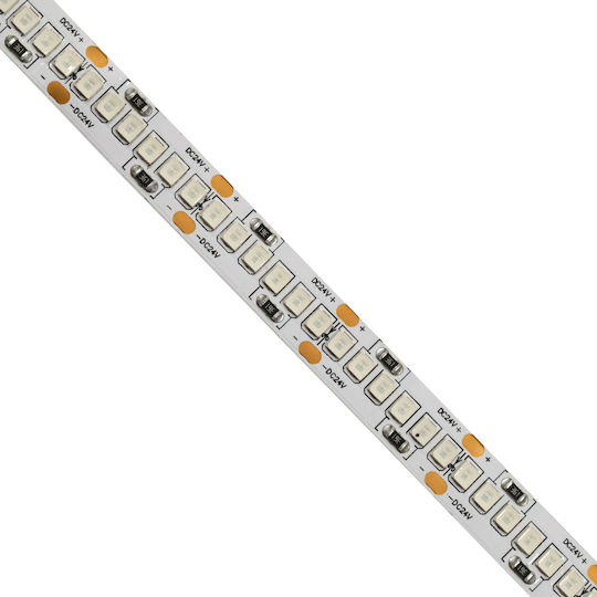 GloboStar LED-Streifen 24V Grün Licht 5m Typ SMD2835