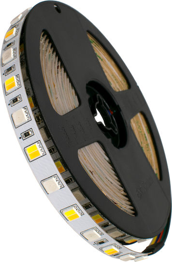 GloboStar Ταινία LED 24V RGBW Φως 5m Τύπου SMD5050