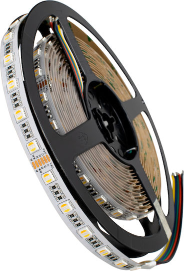 GloboStar LED Strip 24V RGBW Light 5m Type SMD5050