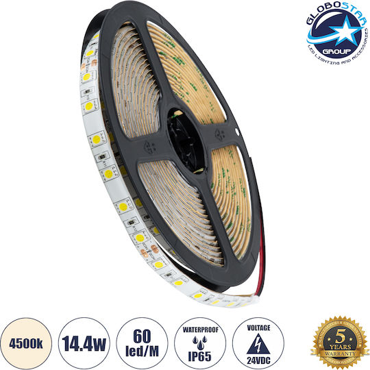 GloboStar Waterproof LED Strip 24V Natural White Light 5m Type SMD5050 with Remote Control