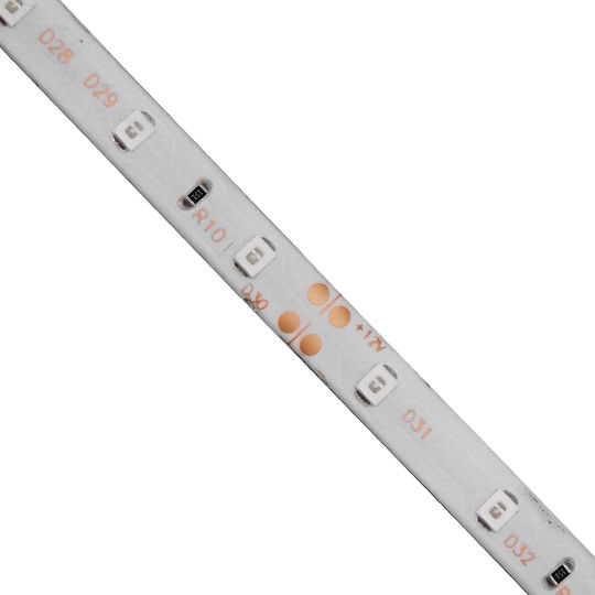 GloboStar Waterproof LED Strip 12V Green Light 5m Type SMD3528