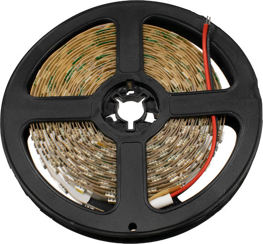 GloboStar Ταινία LED 12V Ψυχρό Λευκό Φως 5m Τύπου SMD5050