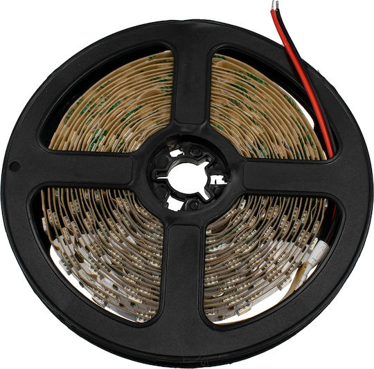 GloboStar Ταινία LED 24V Ψυχρό Λευκό Φως 5m Τύπου SMD5050