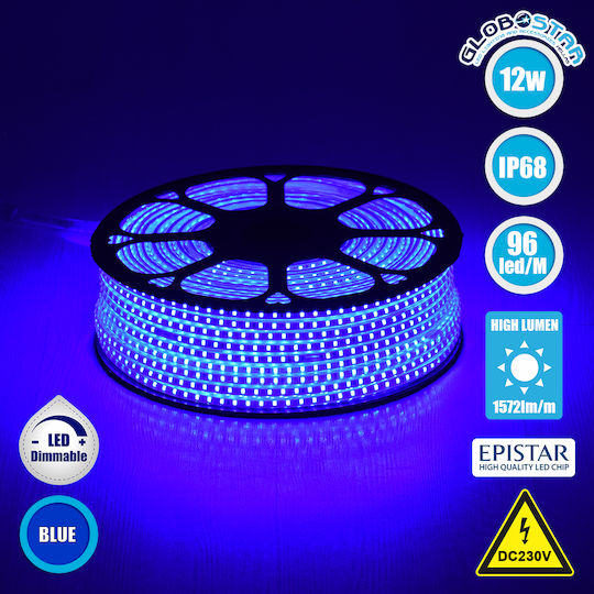 GloboStar Αδιάβροχη Ταινία LED 220V Μπλε Φως 1m Τύπου SMD2835